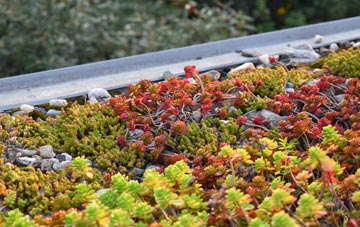 the cost of Kingsholm green roof installation