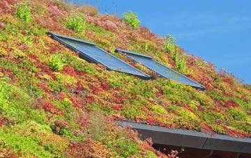 Kingsholm living roof systems